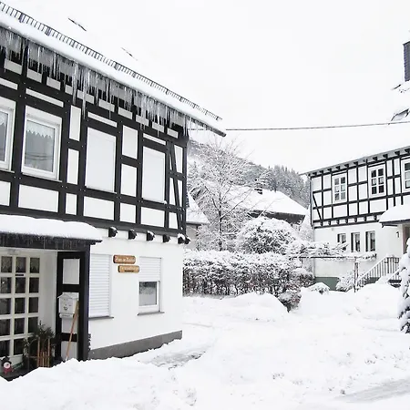 Ferienwohnung Winterberg *