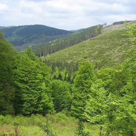 Apartmán Ferienwohnung Winterberg *